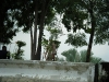 Life Along the Chao Phraya River