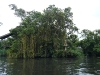 Life Along the Chao Phraya River