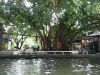 Life Along the Chao Phraya River