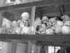 cambodia-013
