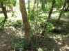 Clothes of victims at Choeung Ek Killing Fields in Cambodia