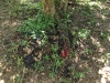 Clothes of victims in the ground at Choeung Ek