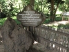 Mass Grave where the victims were unclothed women and children