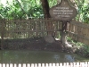 Mass Grave where victims were found decapitated