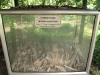 Bones of victims at The Choeung Ek Killing Fields