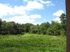 Mass Grave at The Choeung Ek Killing Field in Cambodia