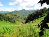 Trekking out of Chiang Rai