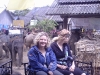 On our elephant