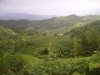 View from the top