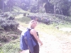 Passing by the tea plantation